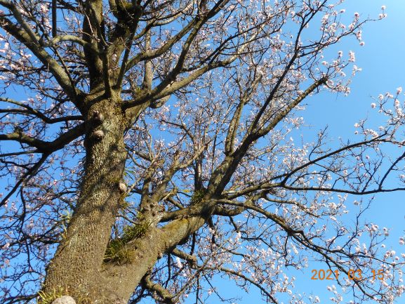 ブログ 学習塾 Tomatoスクール